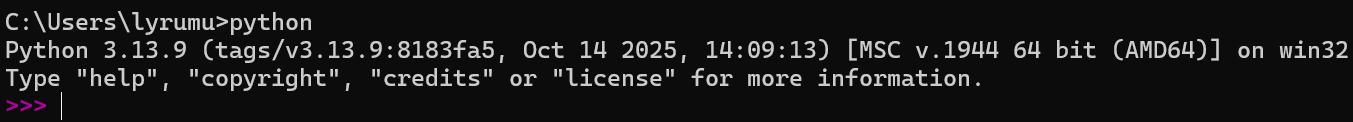 python3.13.9解释器.png
